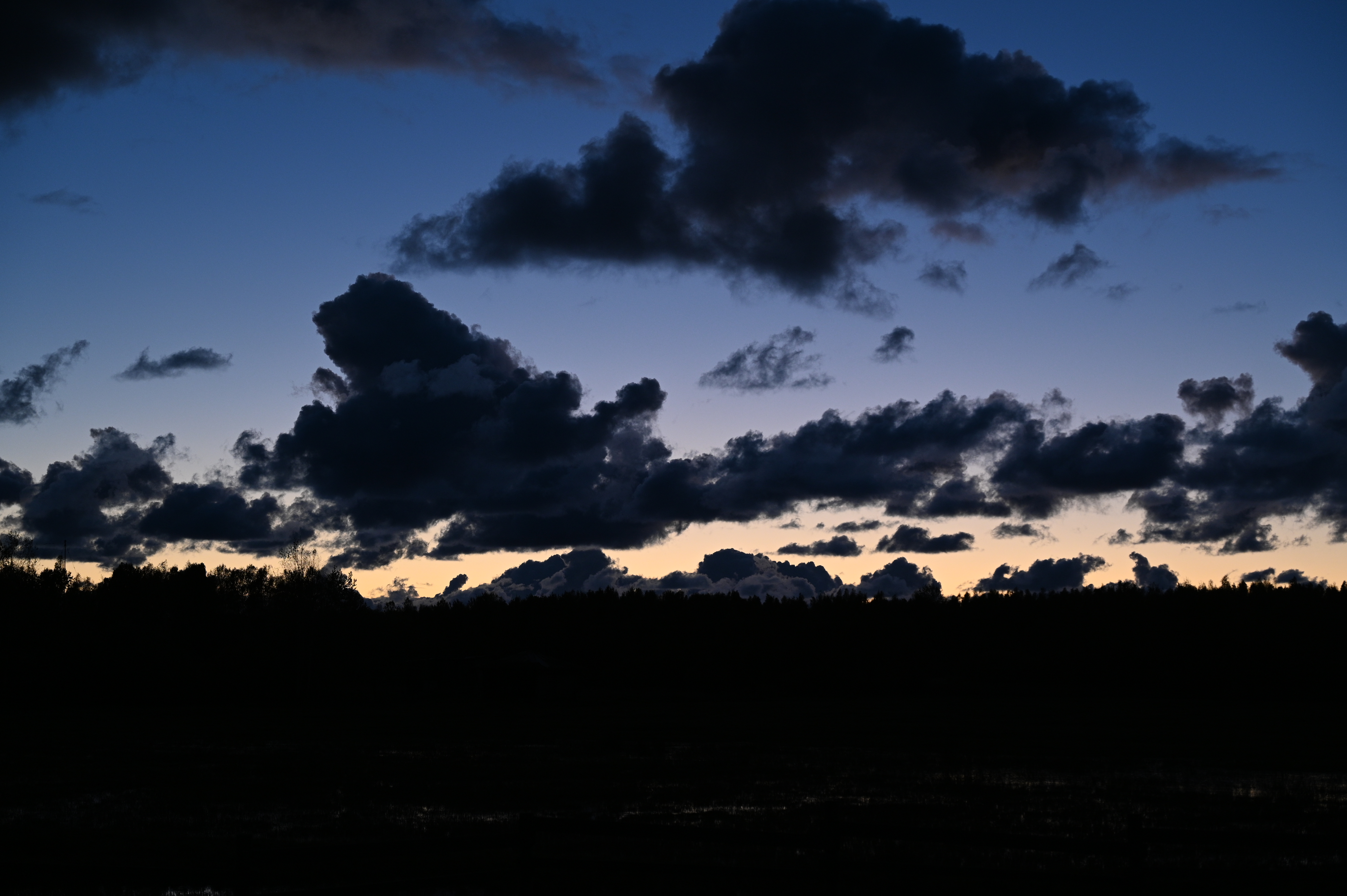 2025/10/18 - walk/DSC_0669.JPG